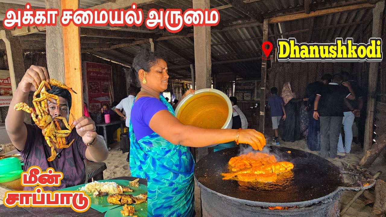 தரமான மீன் சாப்பாடு🐟120Rs ONLY 💥Fresh Fish Fry வேற Level 🦐🦀 Sea Food Feast in #dhanushkodi