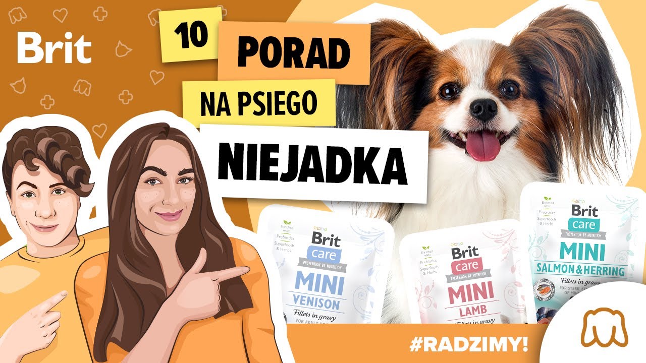 RADZIMY: Wybredny pies? 10 super porad na psiego niejadka! - Brit Polska