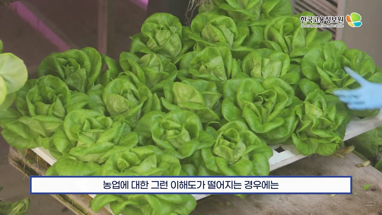 플랜티팜 (유망산업 - 스마트팜 분야)