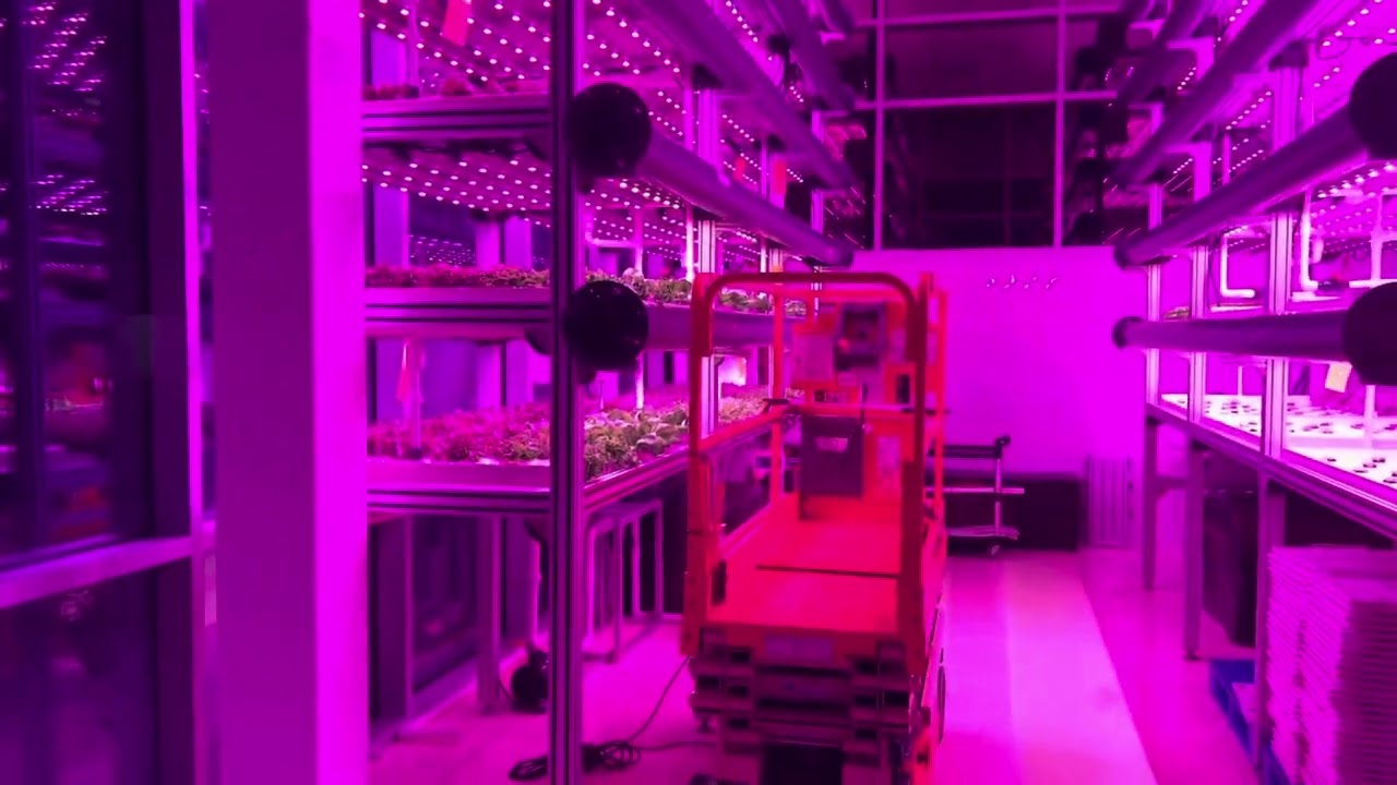 HyCube hydroponic system at the Orlando World Center Marriott