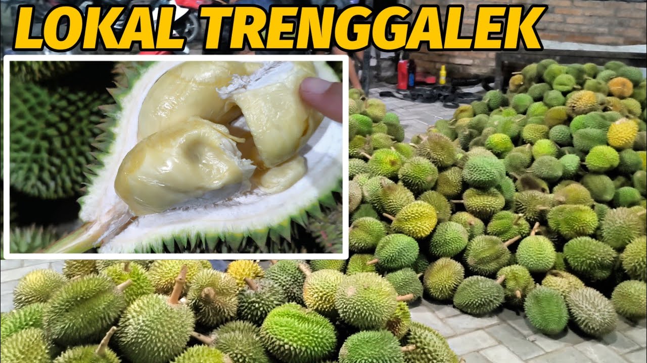 Durian lokal trenggalek : Rasa lokal yang mulai terlihat.