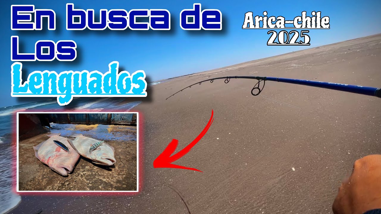 En busca de los lenguados pesca arica-chile