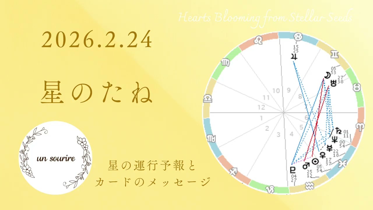 双子座上弦の月🌓新しい経験から得た学びや知識が魚座力を鍛える1週間🐟🌟2/24星とカードメッセージ＆12星座別一言メッセージ