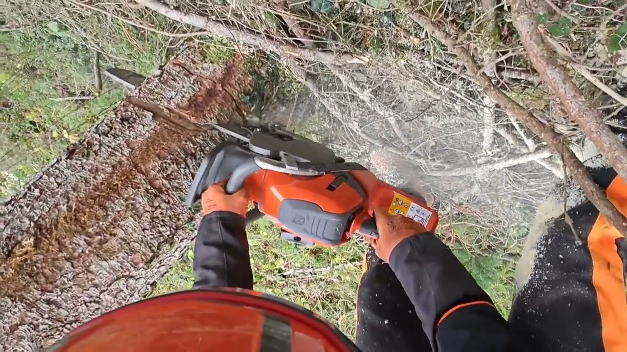 Husqvarna 564XPG in Action, Spaziergänger im Gefahrenbereich