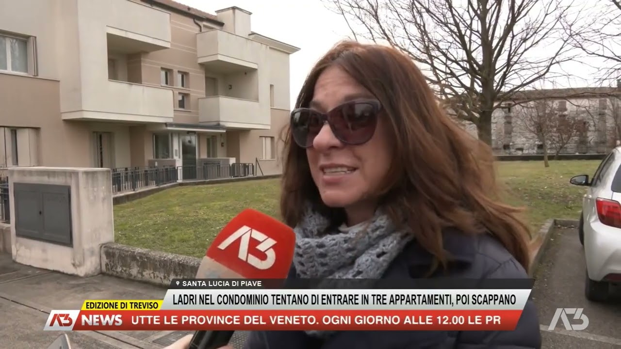 A3 NEWS TREVISO | 20/02/2026