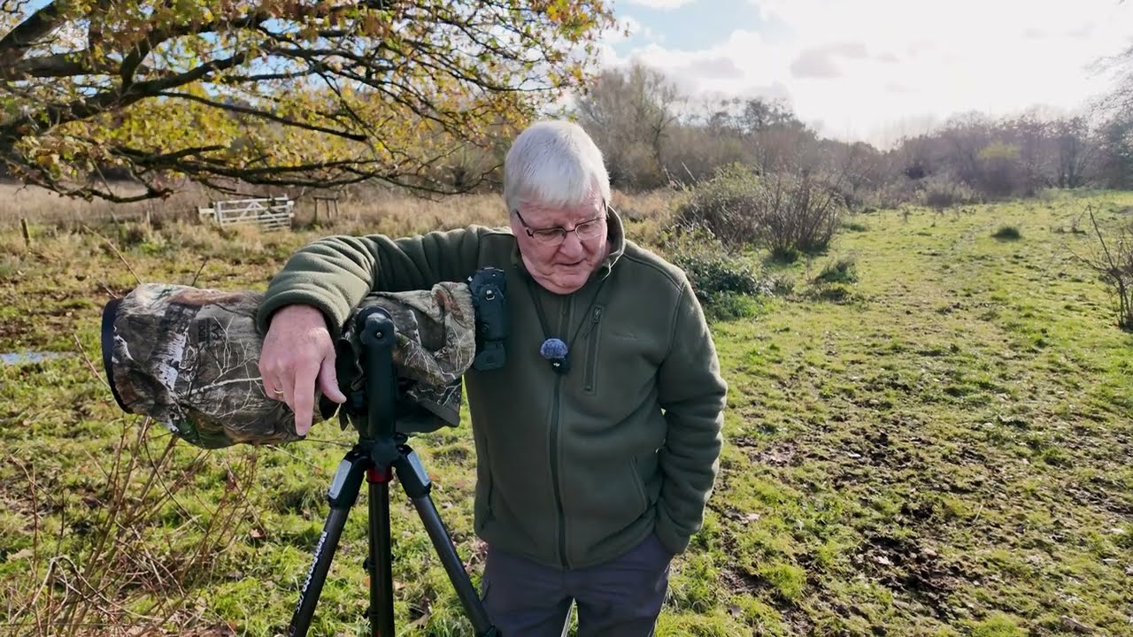 Have I found the perfect Nikon Wildlife lens?