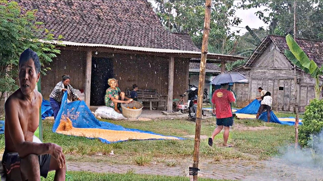 Hujan Deras Di Desa‼️Datang Tiba² Bikin Warga Kalang Kabut,Suasana Perkampungan Asri Alami Th 70an