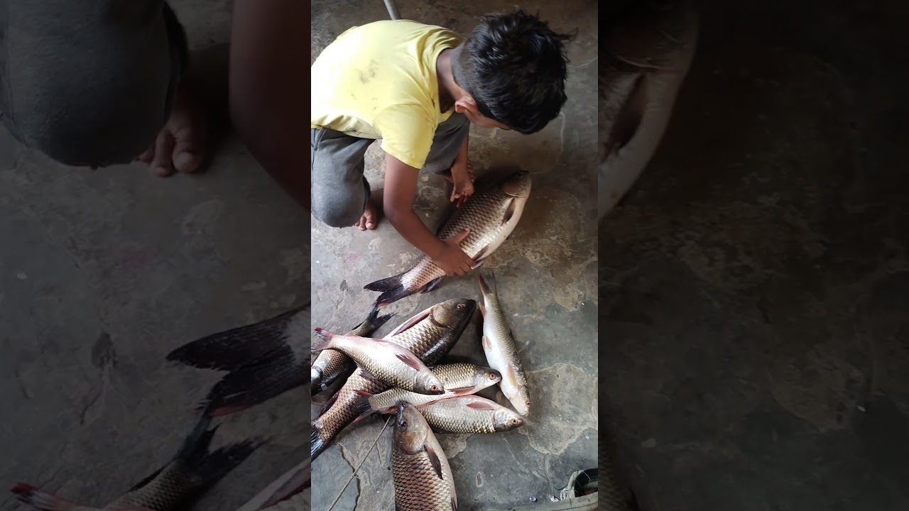 sufibaba sufibaba ke best hunting(1)
