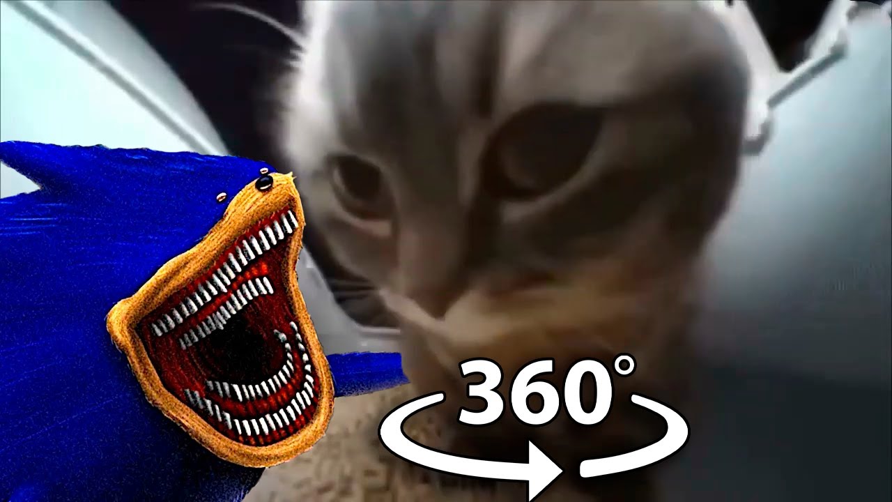 360&deg; VR Shin Sonic Tapes - Chipi Chipi Chapa Chapa