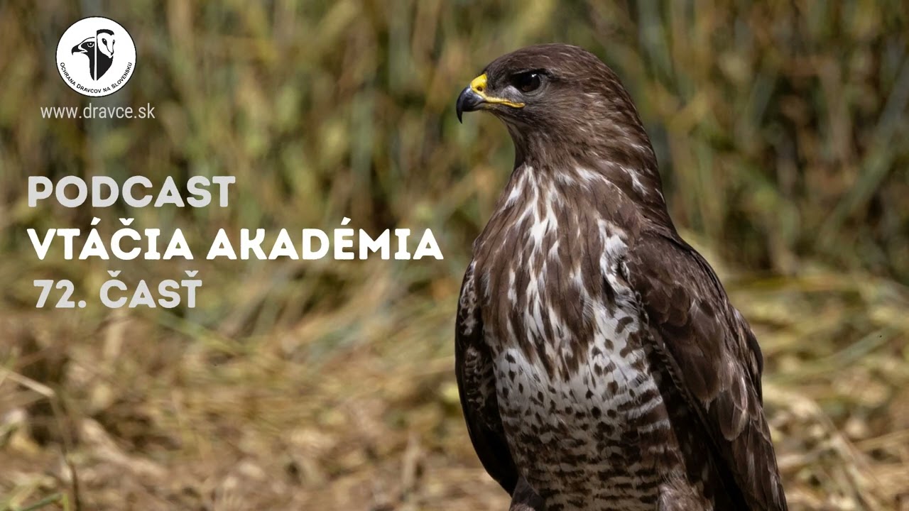 Vtáčia akadémia: VIEME PRVÍ!