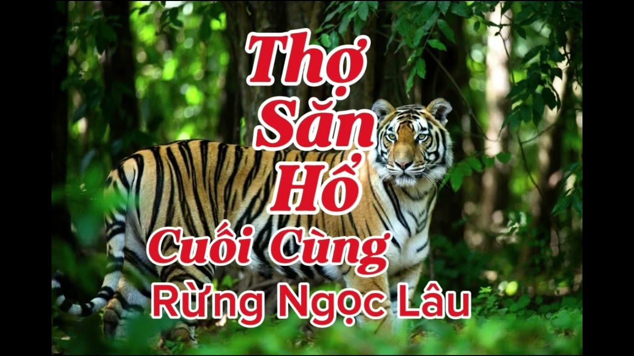 THỢ SĂN HỔ CUỐI CÙNG RỪNG NGỌC LÂU | Lê Anh diễn đọc 