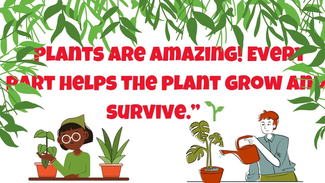 Parts of a Plant for Kids | Root, Stem, Leaves, Flower and Fruit | Science for Kids