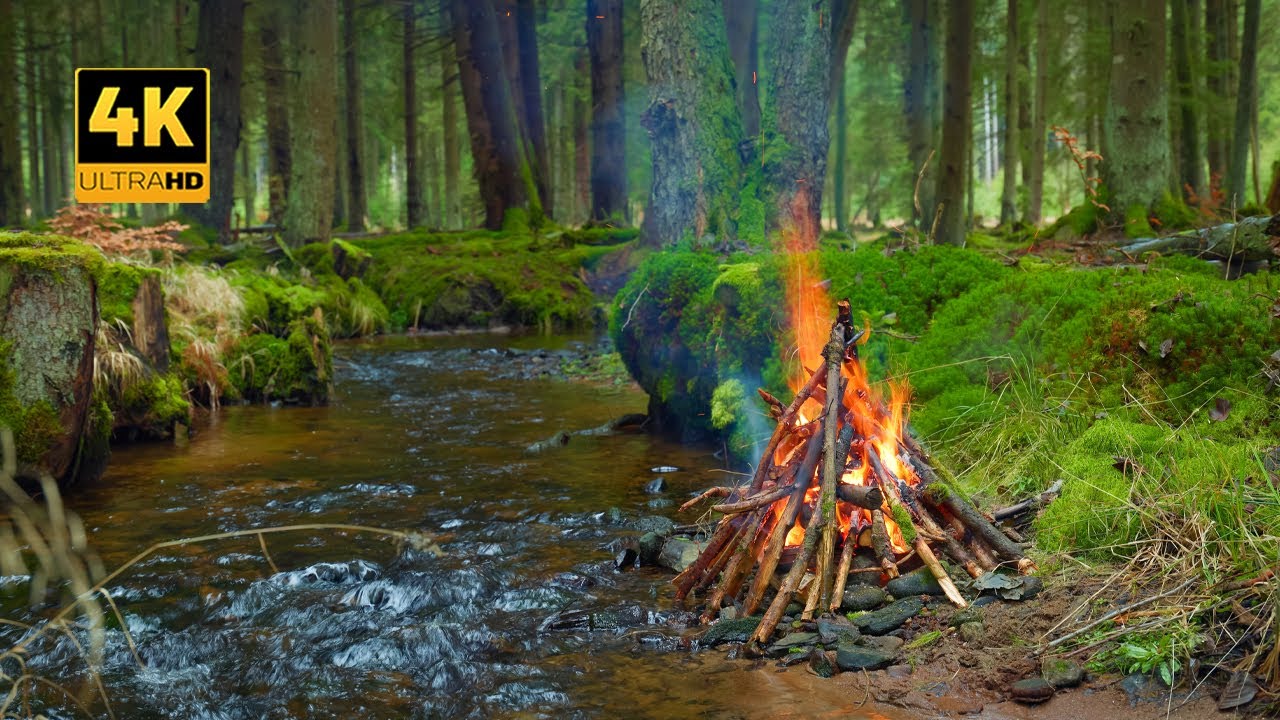 Prawdziwe leśne ognisko 🌲Dla wszystkich, kt&oacute;rzy są sami w Boże Narodzenie