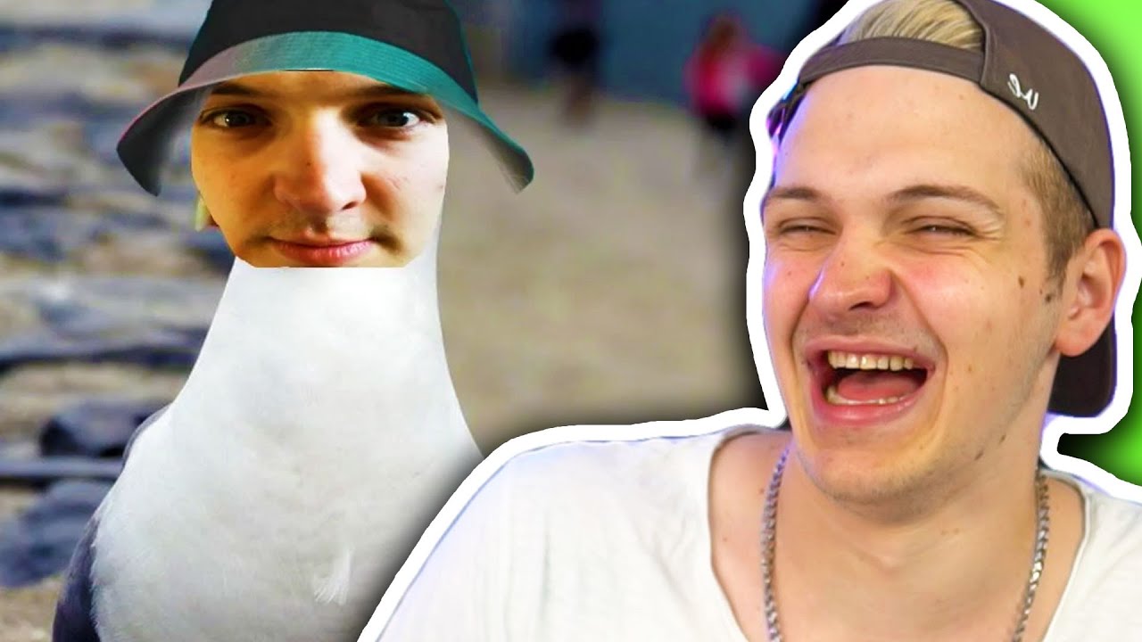 Die Rotzcommunity macht das Weddit dumm 🧠