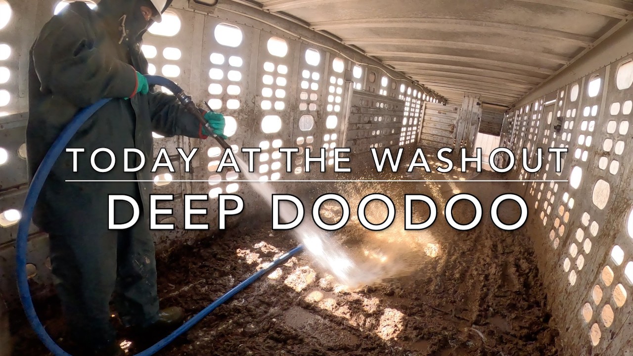 Deep DooDoo! (Cattle Washout ASMR Ep. 27)