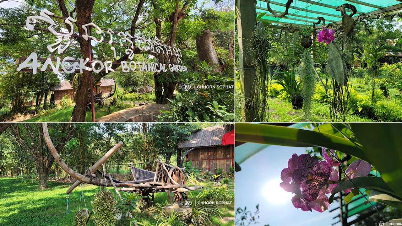 សួនកែច្នៃថ្មីនៅសៀមរាប «រុក្ខជាតិអង្គរ» ជាង១៥ហិកតា នឹងបង្ហាញខ្លួននាពេលឆាប់ៗនេះ