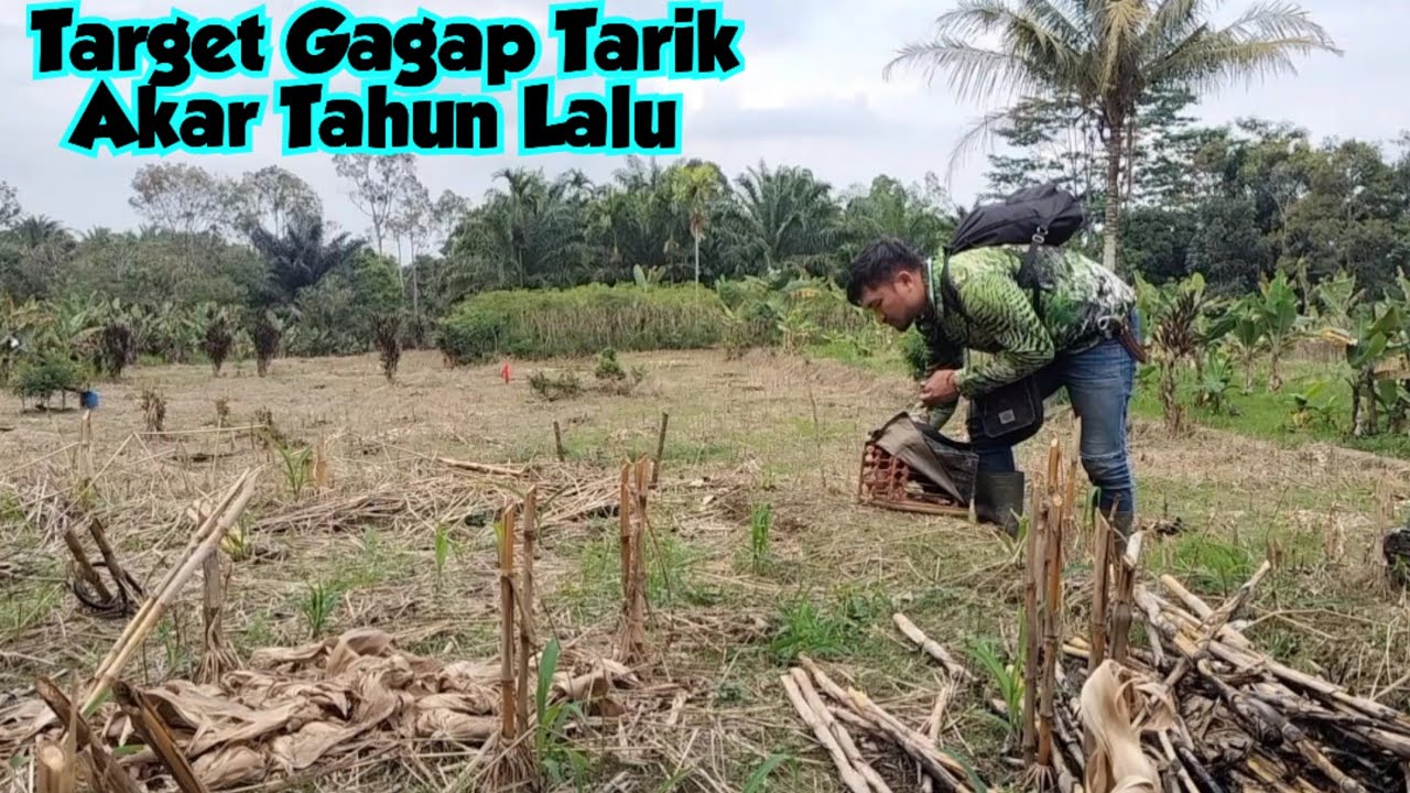 Target Gagap Tarik Akar Tahun Lalu