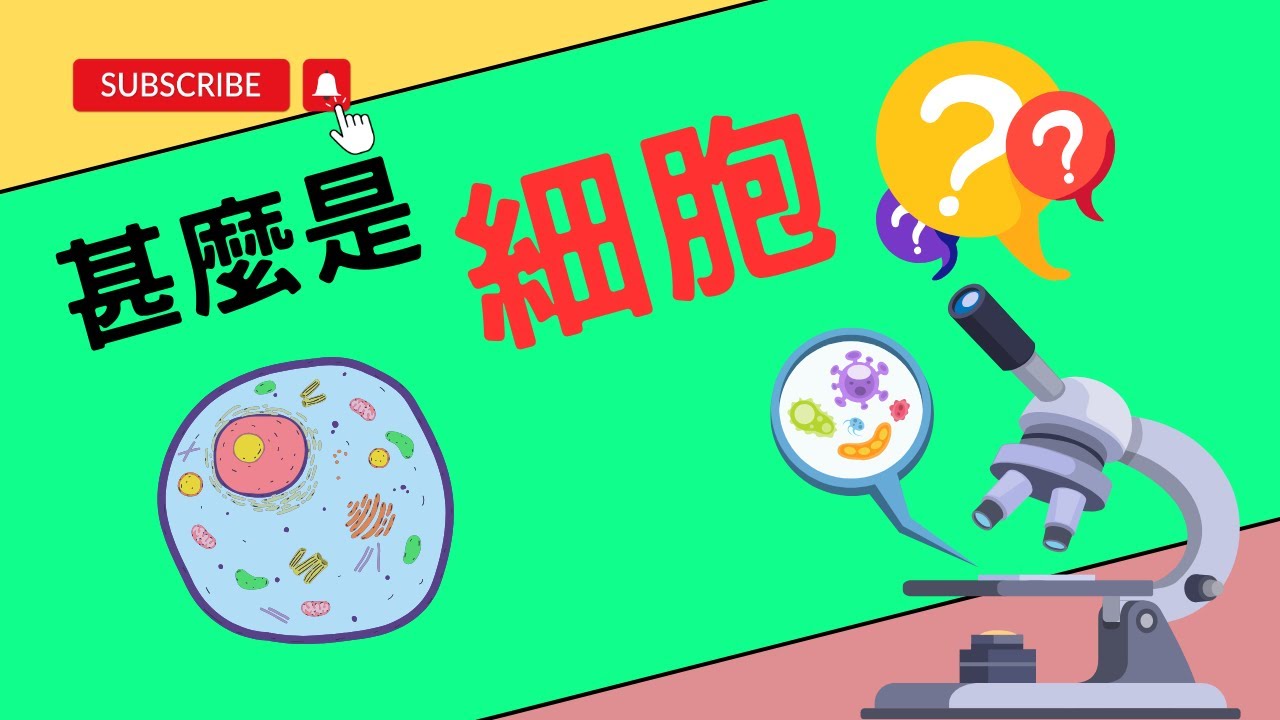 【細胞奇觀】探索生物細胞內的神秘世界！#生物細胞 #細胞構成