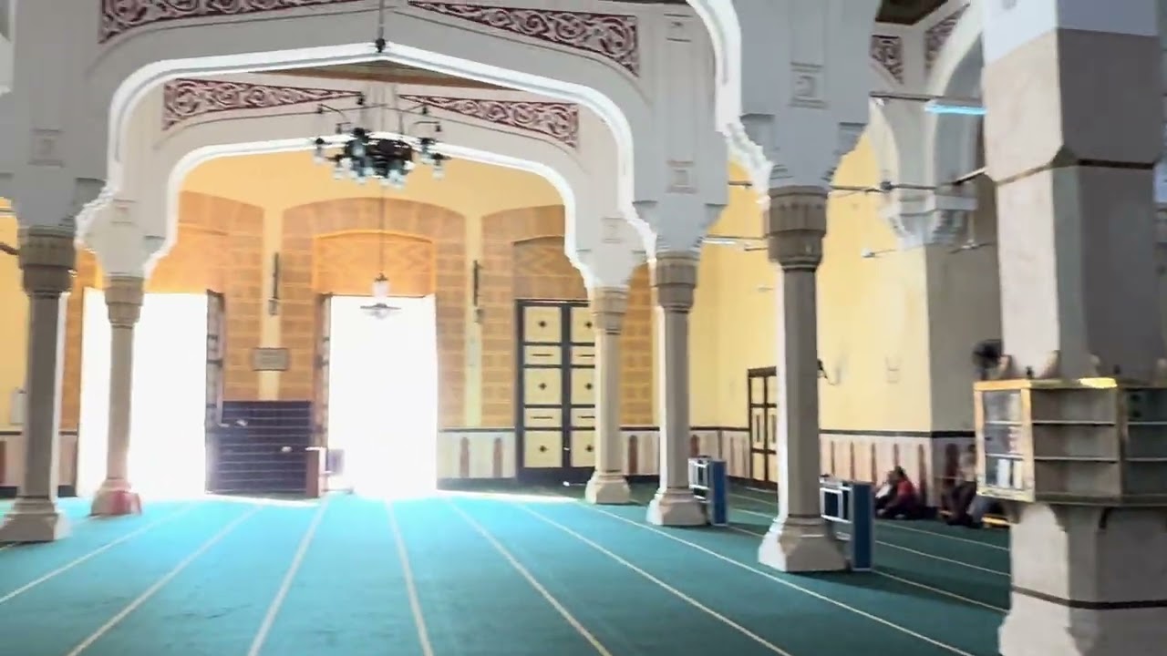 جوله داخل مسجد سيدي إبراهيم الدسوقي 