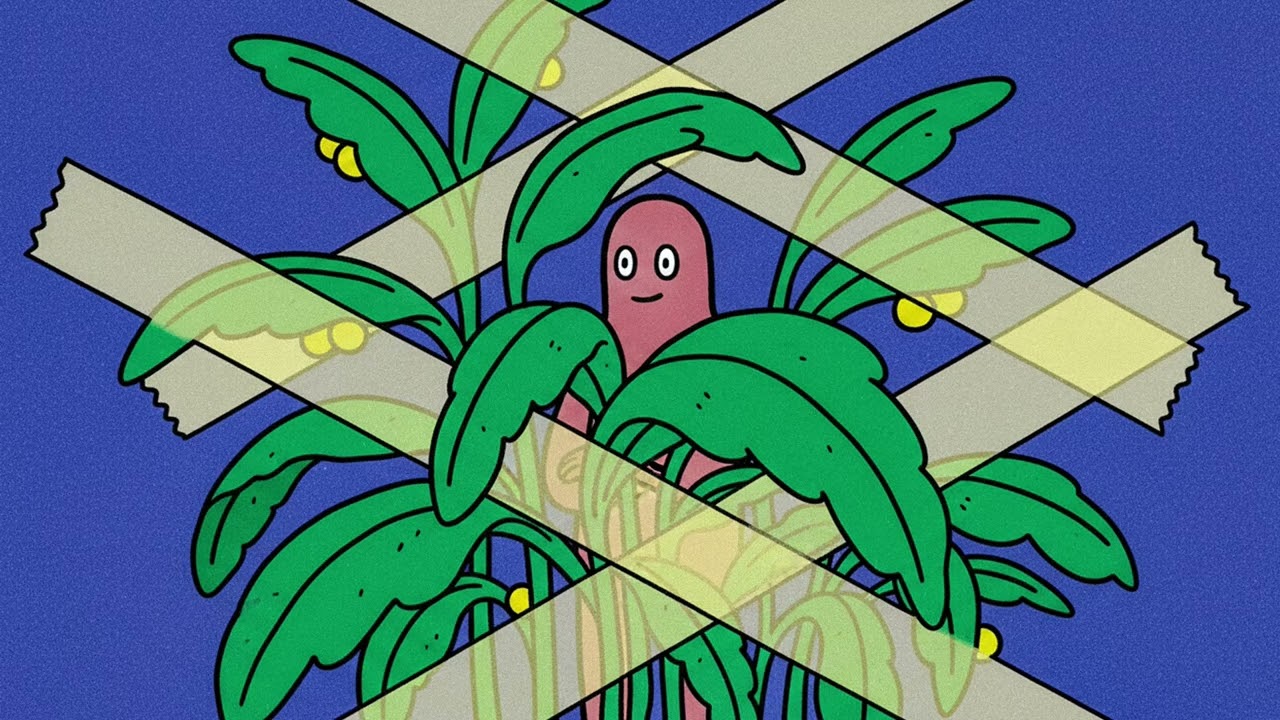 nature contact. music