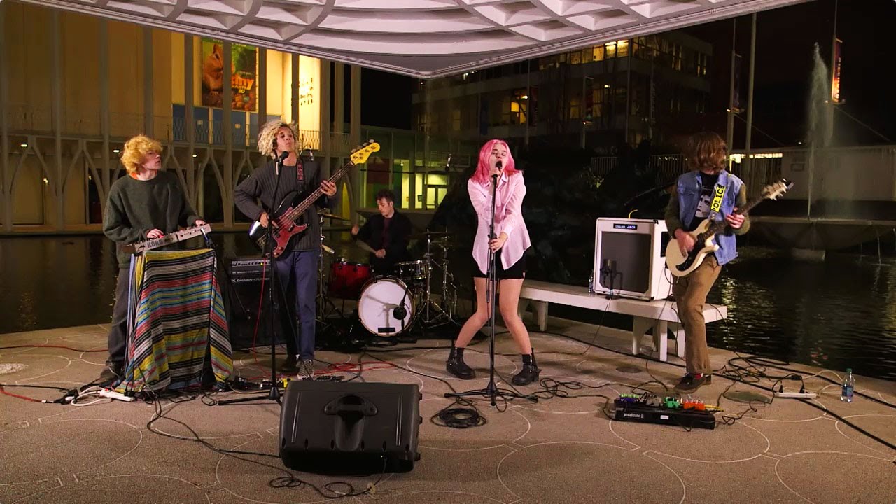 The Pink Slips 