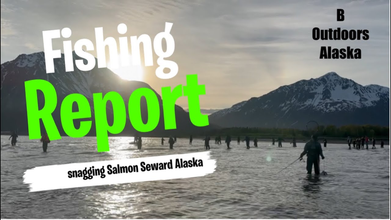 Current Seward Salmon Snagging Report June 2024