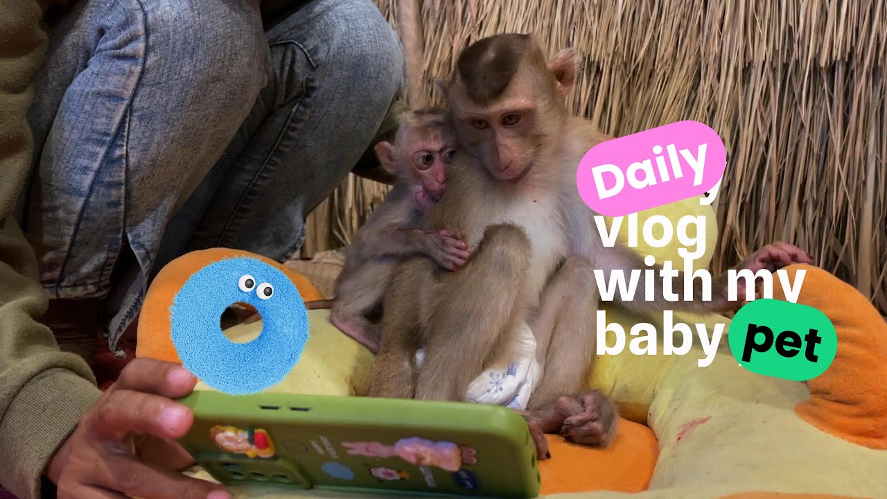 No More Nature! They Just Want To Watch YouTube All Day 