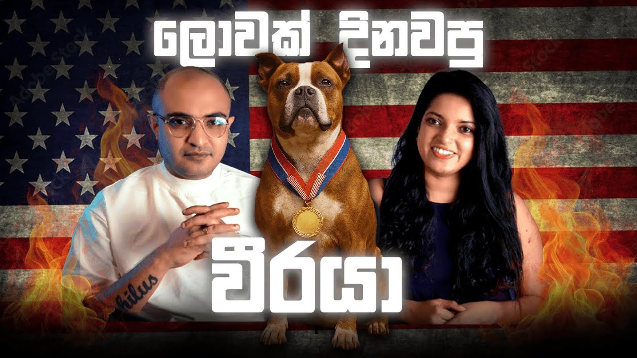 ලොවක් දිනවපු වීරයා | The Dog Who Became a War Hero 🐾🇺🇸 Stubby’s True Story