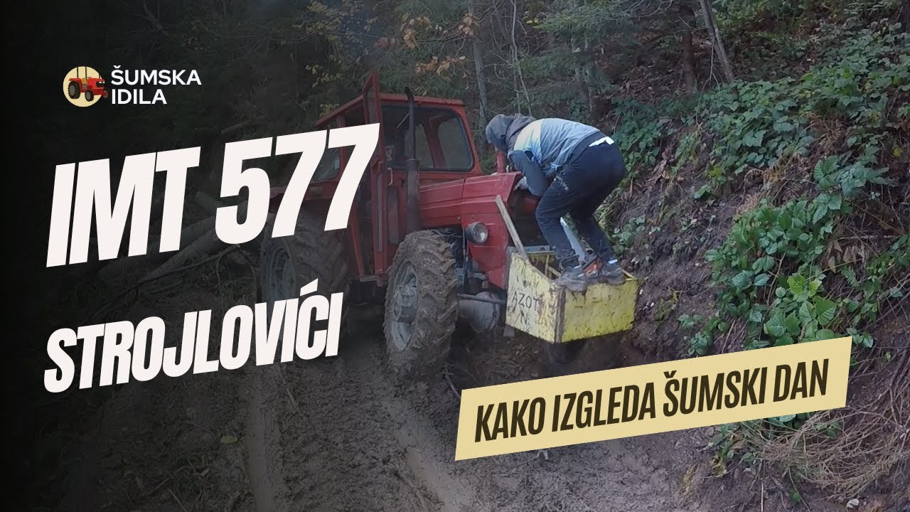 IMT 577 U SUMI | IZVLACENJE DRVA