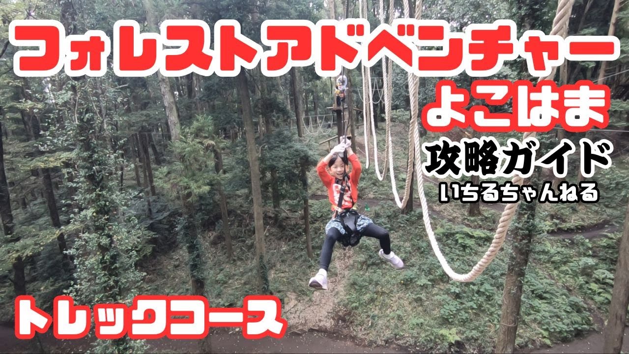 フォレストアドベンチャー・よこはま 攻略ガイド（身長110cm以上トレックコース、ジップライン連発、高所アスレチック）