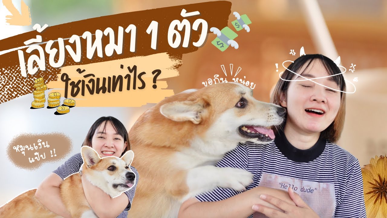 เลี้ยงหมาตัวนึงหมดเท่าไร มีค่าอะไรบ้าง?  | ค่าใช้จ่ายต่อเดือน ดีดมาให้แล้วจ้า ☺️ (EP.42)