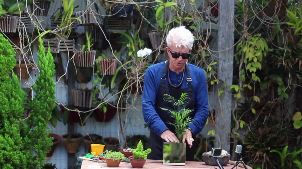 JAB PASOLLINI Tutorial - Arranjo em Cachepô sem Flores de Corte #19