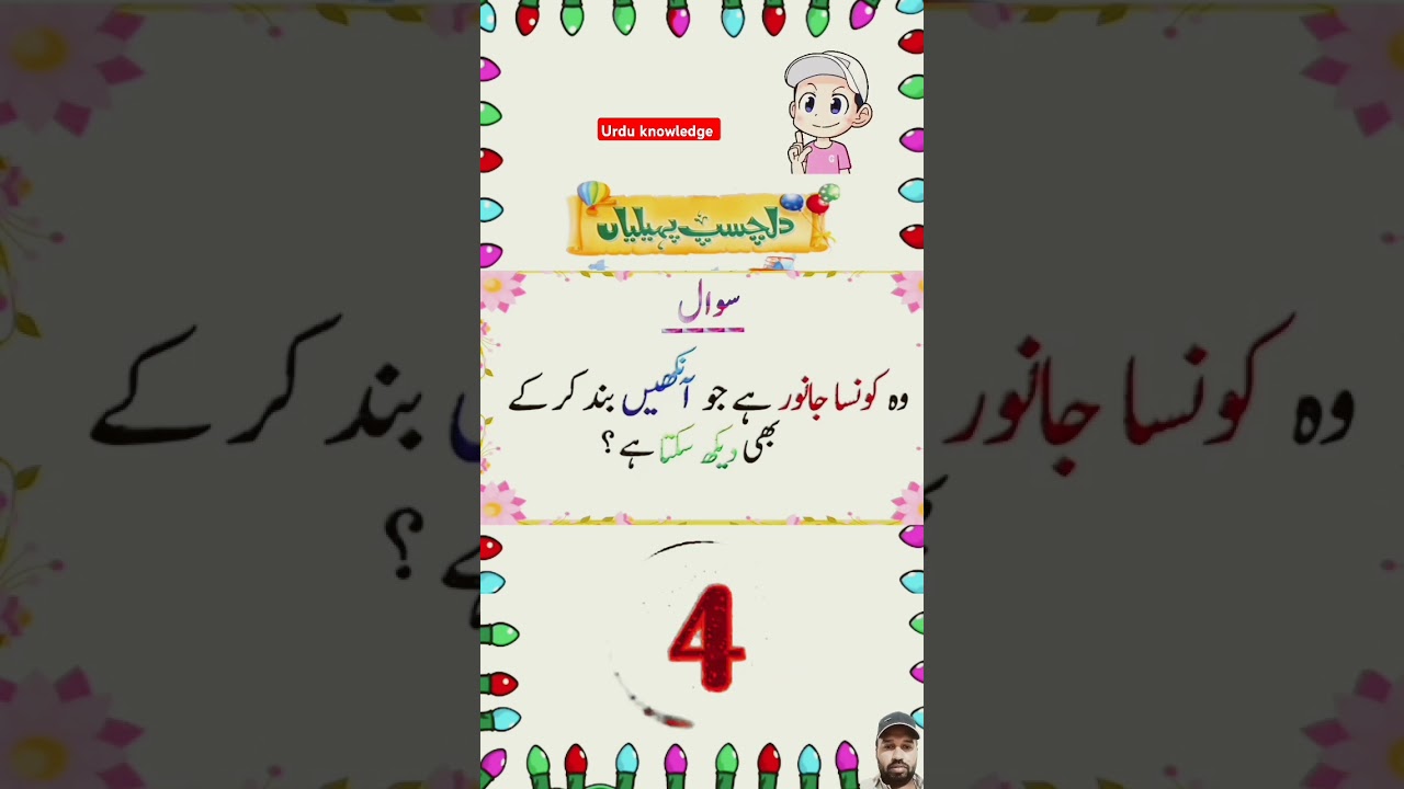 Urdu paheliyan questions in Urdu| Urdu knowledge Amazing paheliyan #paheli #urduknowledge #paheliyan