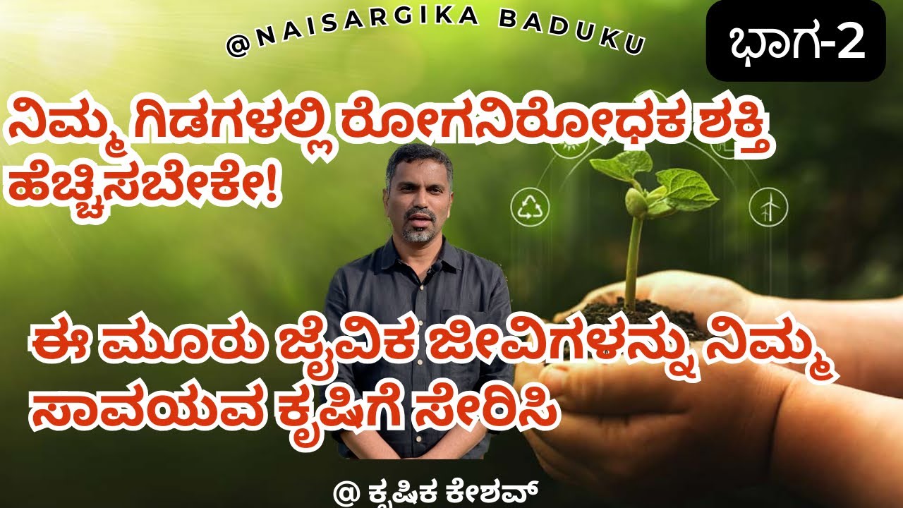 ನಿಮ್ಮ ಗಿಡಗಳಲ್ಲಿ ರೋಗನಿರೋಧಕ ಶಕ್ತಿ ಹೆಚ್ಚಿಸಬೇಕೇ| ಈ ಮೂರು ಜೈವಿಕ ಜೀವಿಗಳನ್ನು ನಿಮ್ಮ ಸಾವಯವ ಕೃಷಿಗೆ ಸೇರಿಸಿ|Part2