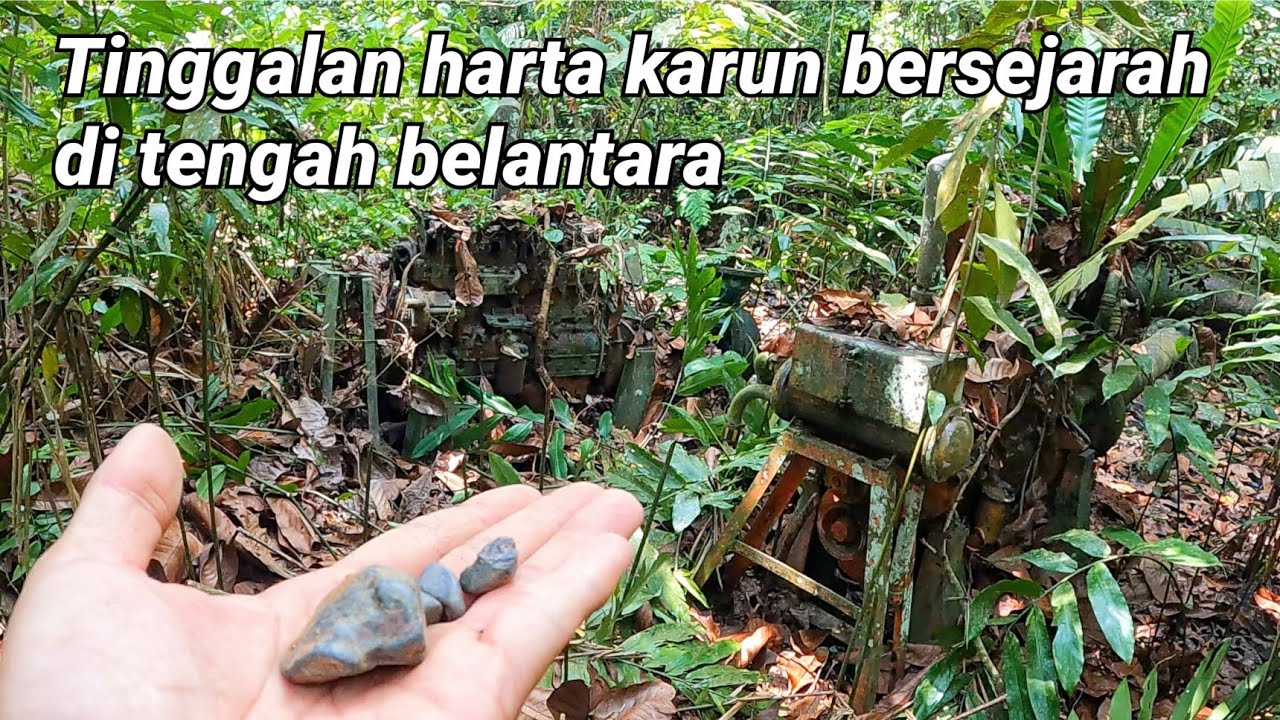 Tinggalan harta karun bersejarah di tengah belantara | Ekspedisi Hutan.