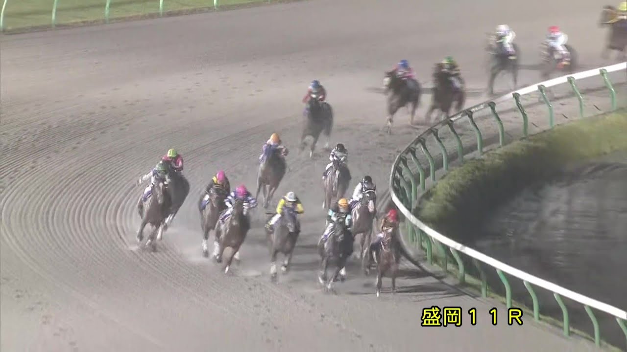 2020 第33回マイルチャンピオンシップ南部杯 JpnⅠ