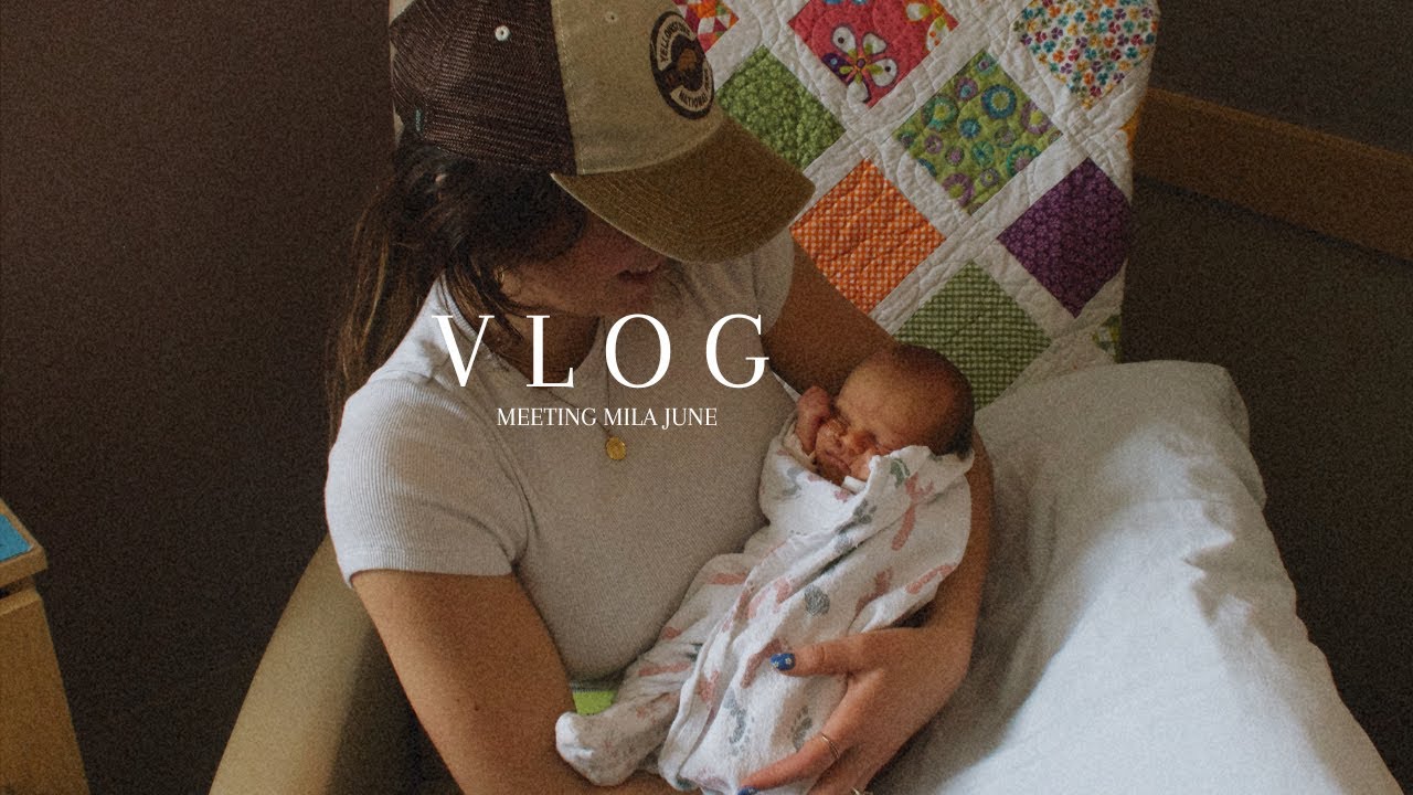 the fam is growing {VLOG: meeting my niece}