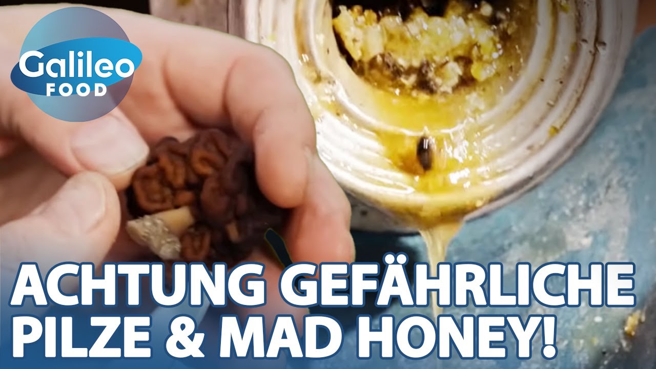GEFÄHRLICHER Honig & Giftpilz? Verrückte Food-Challenges am Limit! ⚠️| Galileo Food