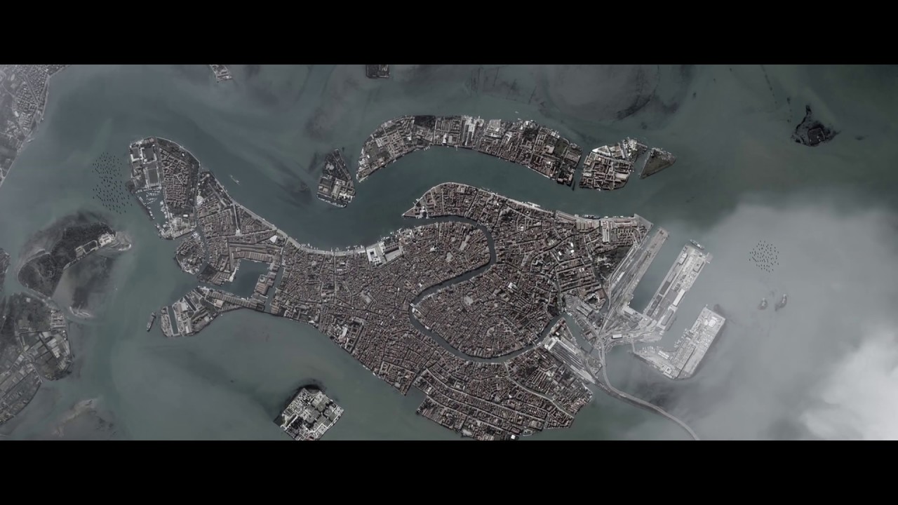 Official video - The Silence of the Seagulls