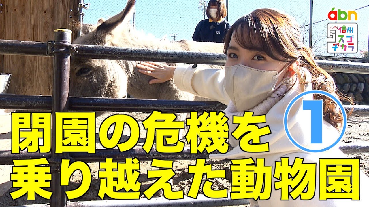 閉園の危機を乗り越えた動物園① / 県内外から親しまれる小さな動物園（いいね！信州スゴヂカラ 2022年12月17日）