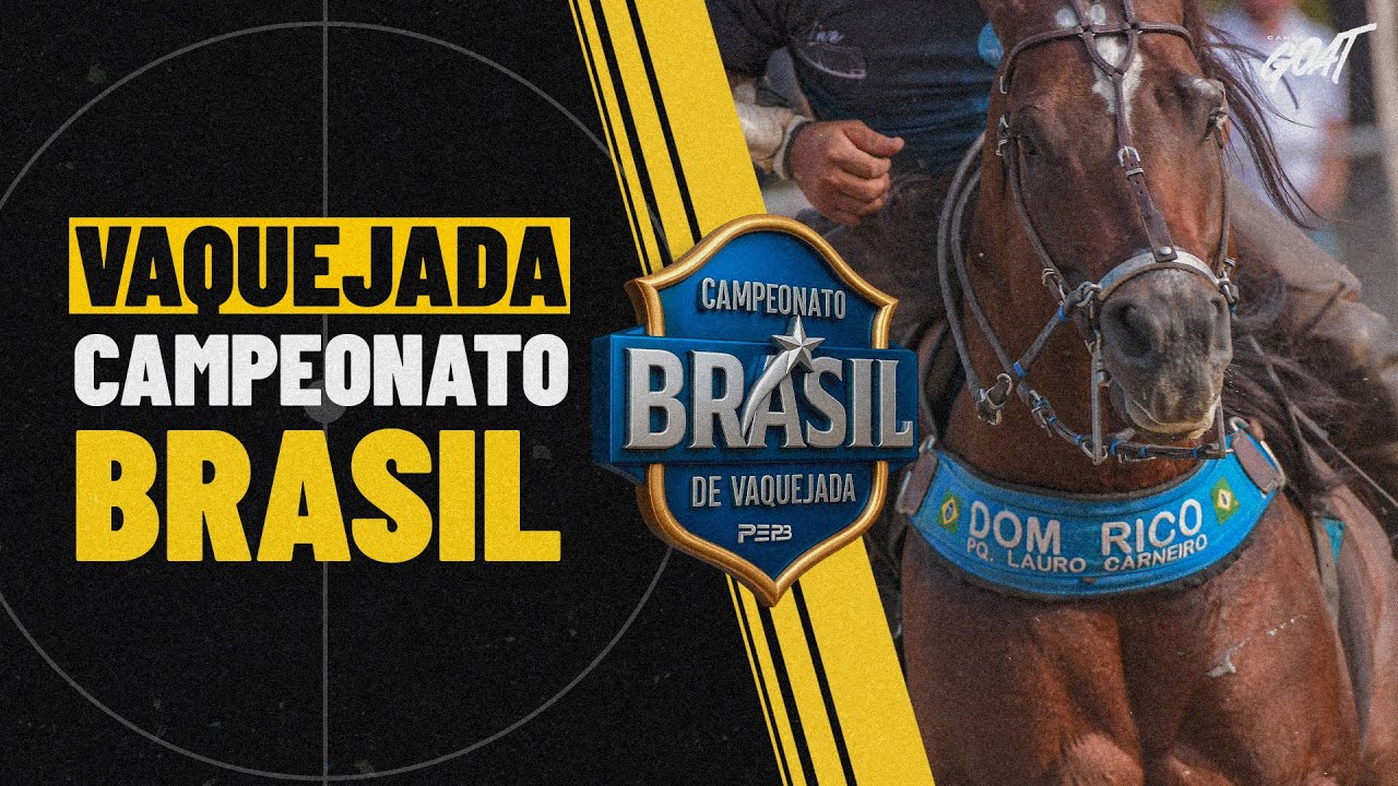 DISPUTA PROFISSIONAL VAQUEJADA KIPEBI PARK SHOW - CAMPEONATO BRASIL DE VAQUEJADA PEPB
