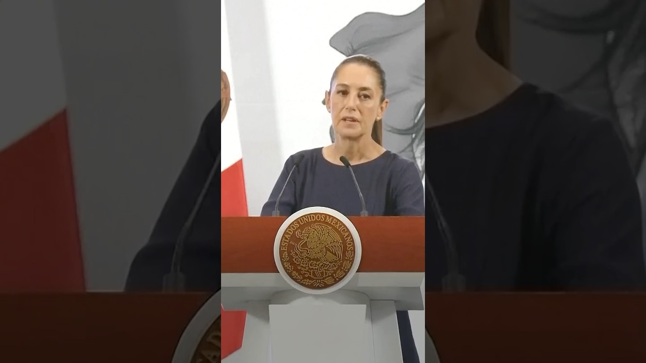 Mexico Rejects Trump's Offer to Send in US Troops