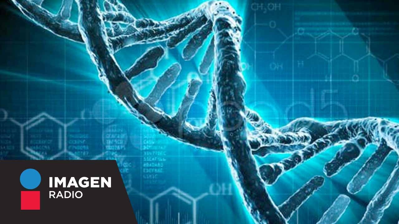 ¿Qué es cómo funciona el Genoma Humano?  / Bien y Saludable