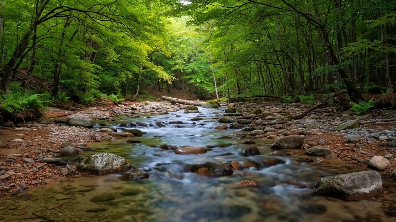 Hit Play & Find INSTANT PEACE 🌊 | The Ultimate 3 HOUR Healing Music Mix for Deep Sleep