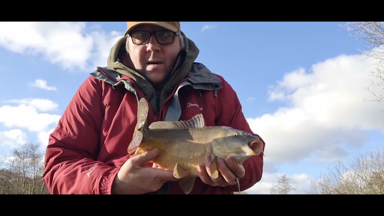 Carp fishing at toad hall Fisheries match lake in Norfolk #carpfishing #carp