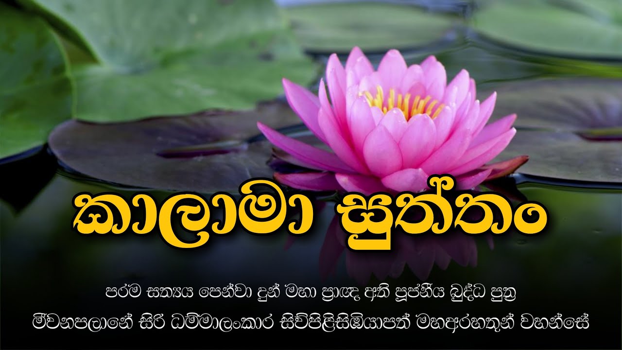 කාලාමා සුත්තං - බුද්ධ පුත්‍ර මීවනපළානේ සිරි ධම්මාලංකාර මහ තෙරුණ් වහන්සේ - 2019 පොසොන් පොහොය​