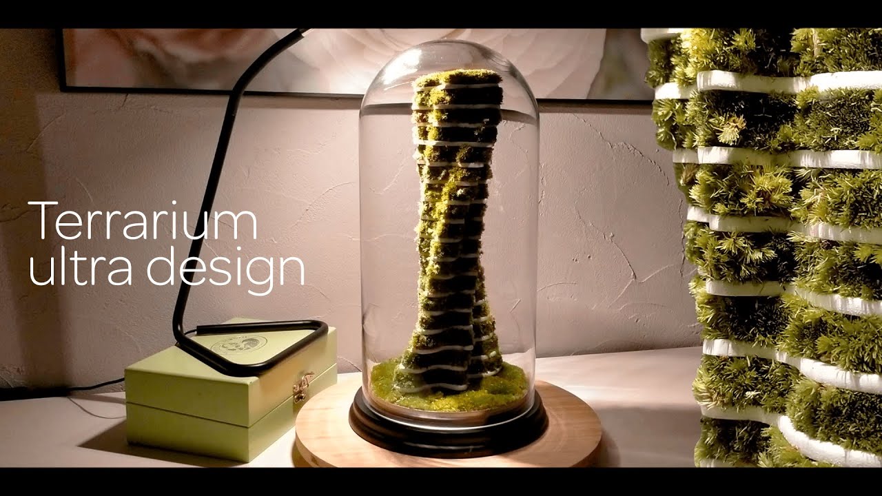 [Subtitles available] #TUTO Terrarium Ultra Design ! Design Végétal à base de mousses (Mossarium) 🌿