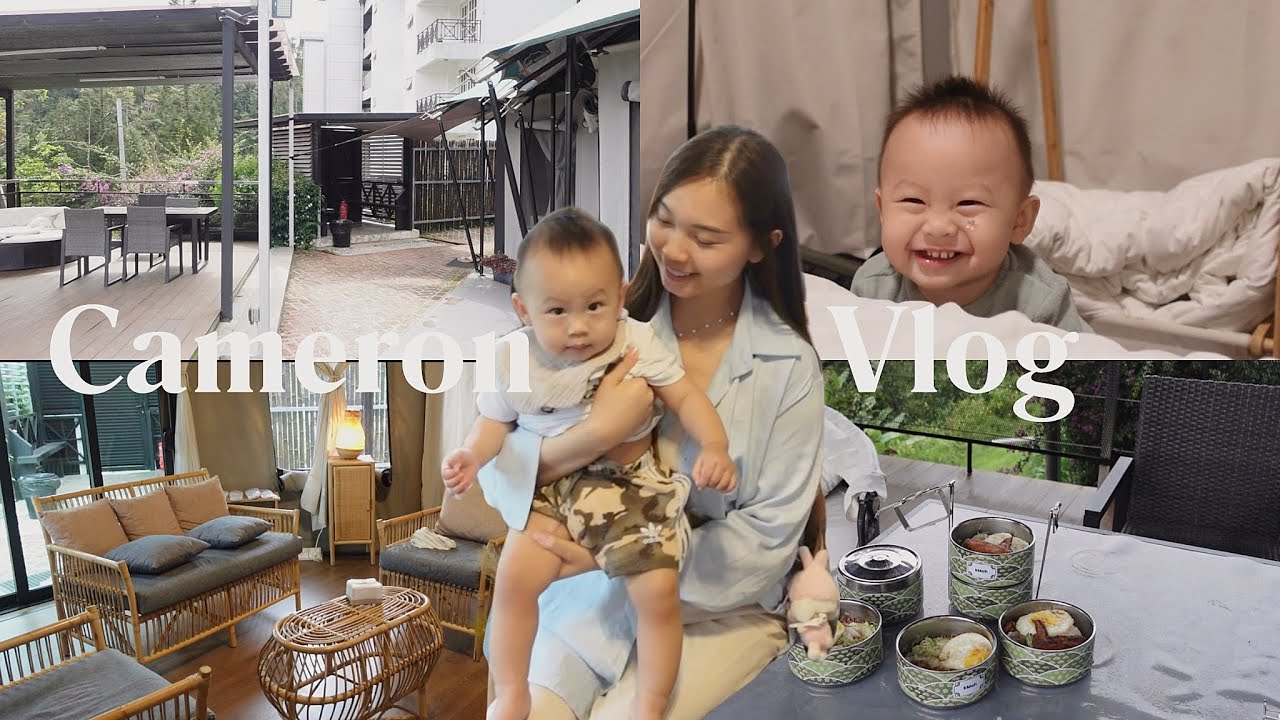 Cameron Vlog ✿ | 3d2n金马伦Glamping豪华露营🏕️｜Zen By Stellar吃下午茶🍵🍡｜西洋菜谷吃火锅🍲｜Cameron Valley茶园🍃