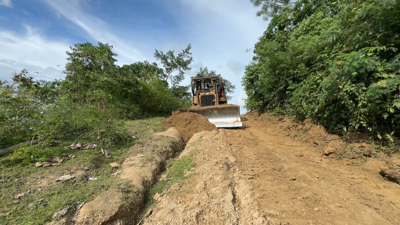 D6R XL Bulldozer Modern Technology for Plantation Road Repair