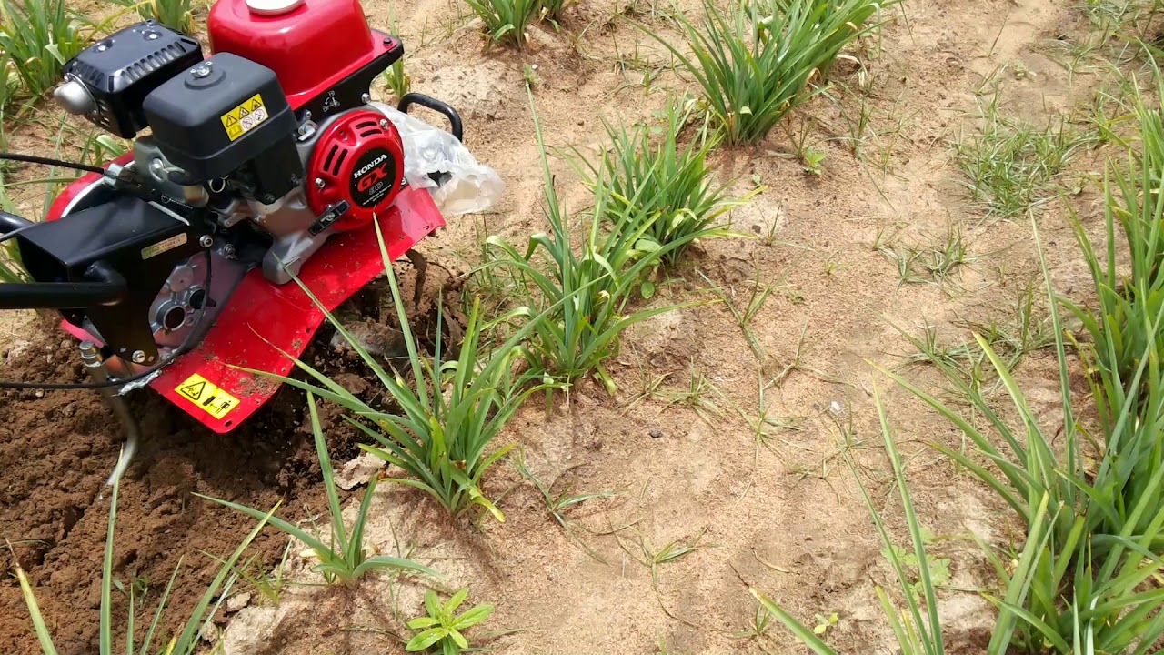 Power weeder Honda f300 7667275444